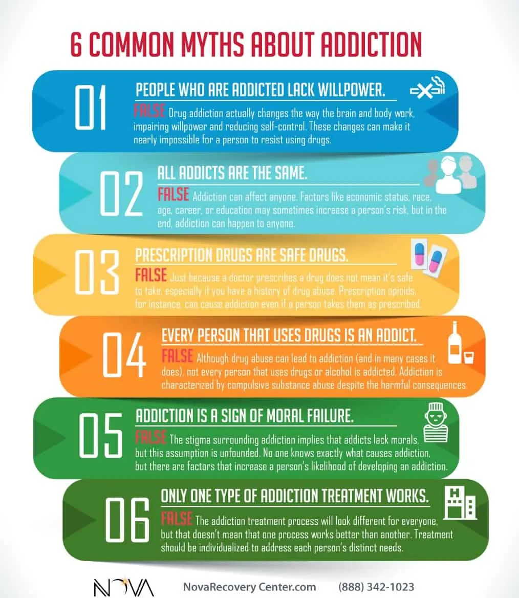 6 common myths infographics
