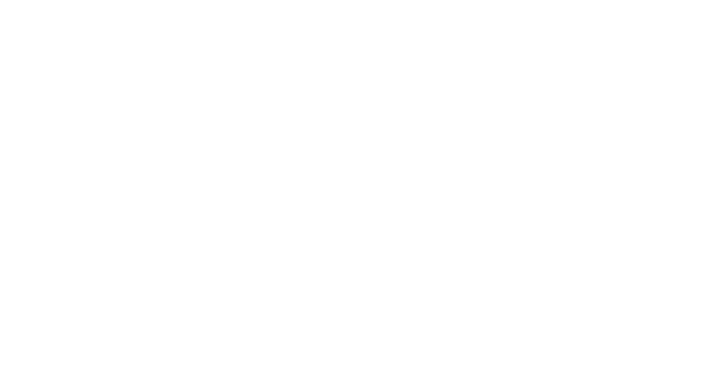 Blue Cross Blue Shield