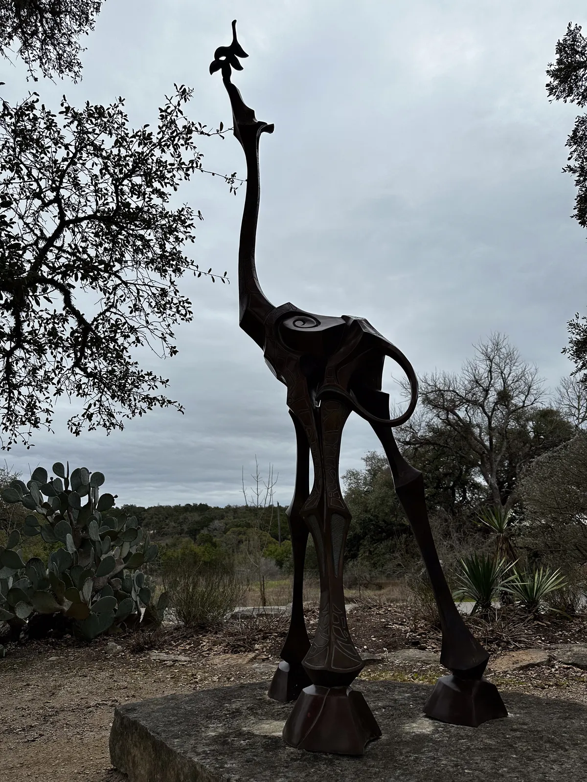 Nova Recovery Center's Wimberley campus