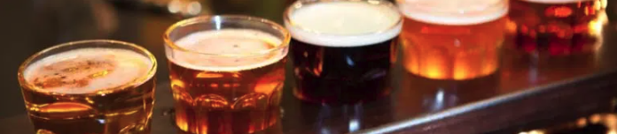 Row of beer glasses symbolizing different stages of alcohol use and addiction.