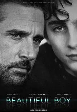 Beautiful Boy movie poster featuring Steve Carell and Timothée Chalamet in a dramatic close-up.