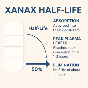 2D digital infographic explaining the Xanax half-life, including absorption, peak plasma levels, and elimination, with visual arrows for clarity.