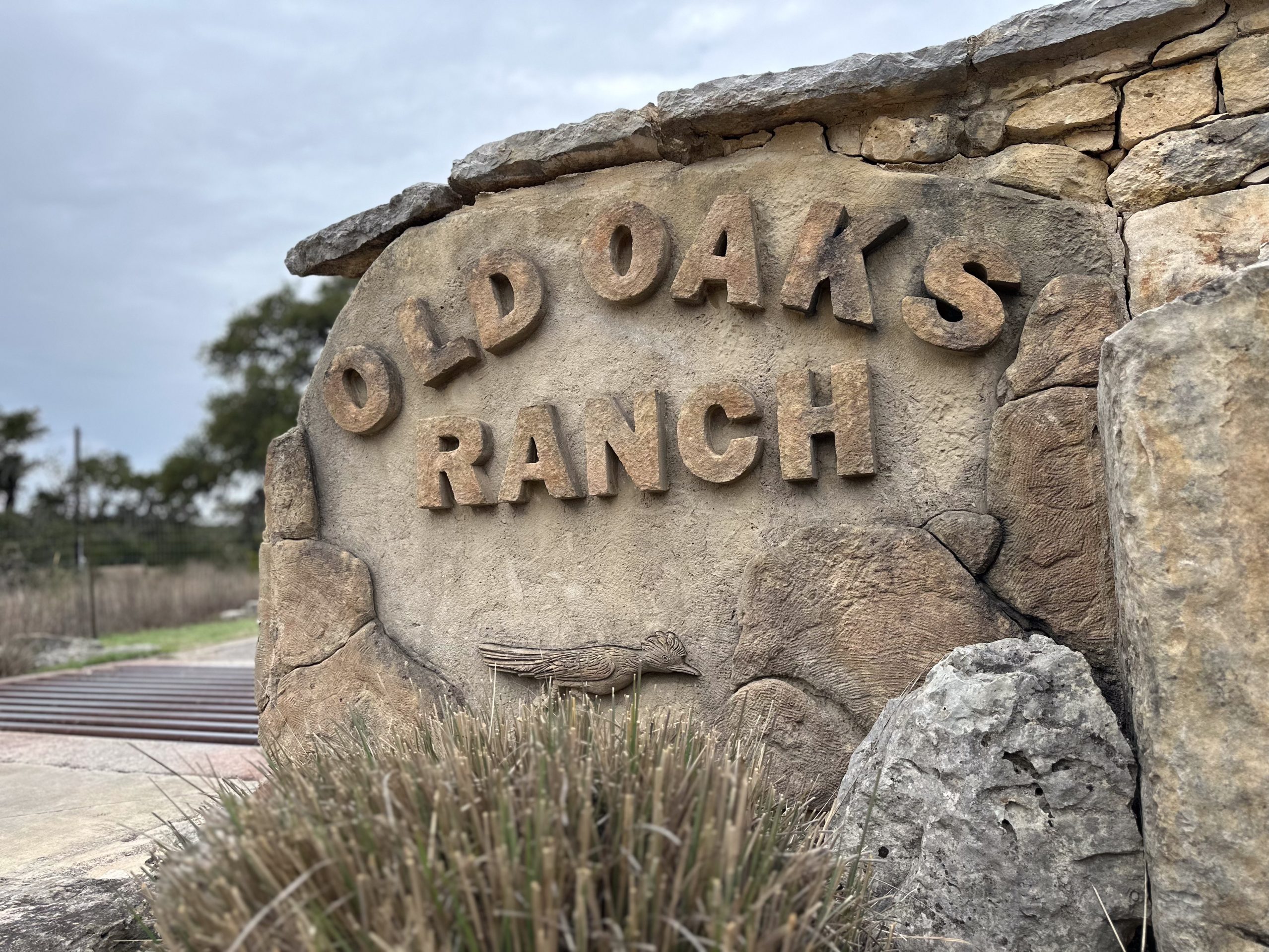 Old Oaks Ranch stone carving at the entrance.